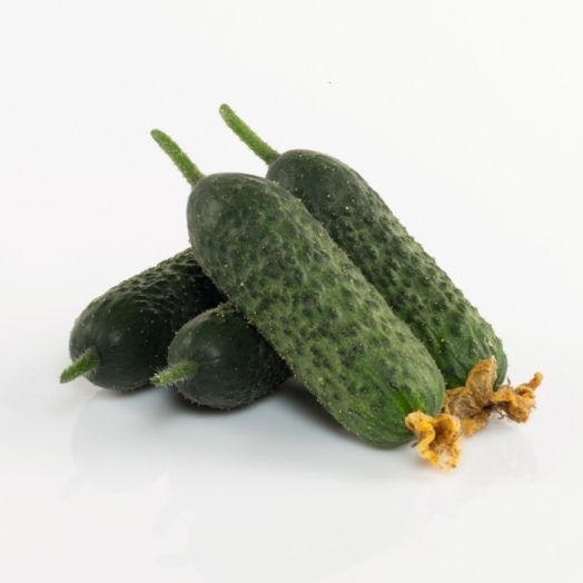 Огурец АБСОЛЮТ F1, 250 семян