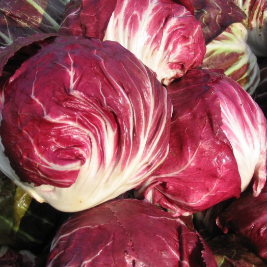 Салат цикорный Палла Роса, 10г семян