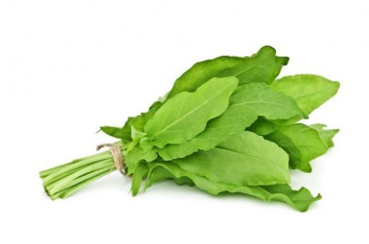 Щавель Широколистный, 10г семян