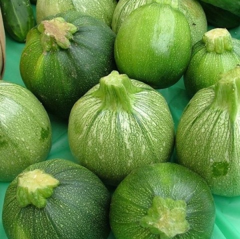 Кабачок Тинторетто, 50шт семян