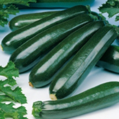 Кабачок цуккини Сальвадор, 50шт семян