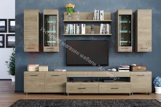 Гостиная КАМЕЛИЯ 9