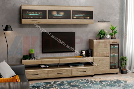 Гостиная КАМЕЛИЯ 12