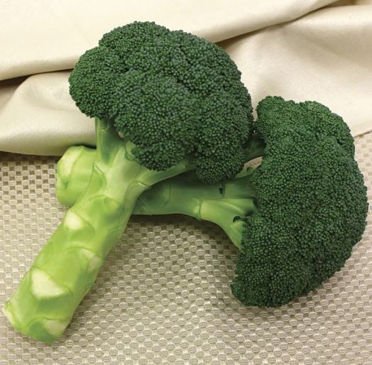 Капуста брокколи Грин Мэджик F1, 100шт семян