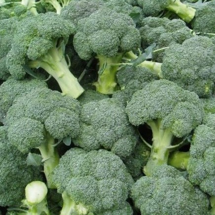 Капуста брокколи Тонус, 5г семян