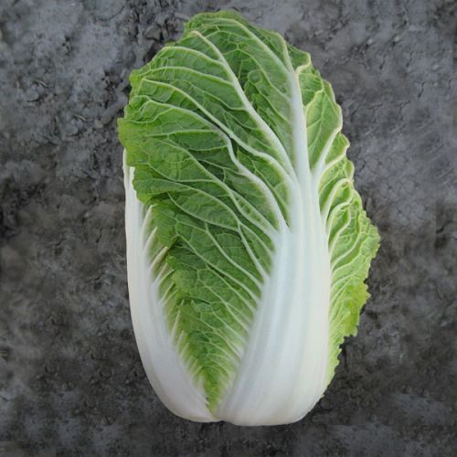 Капуста пекинская Пасифико F1, 100шт семян