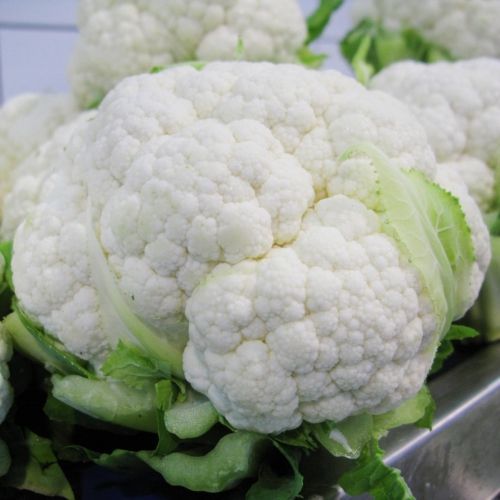 Капуста цветная Шарлот F1, 100шт семян