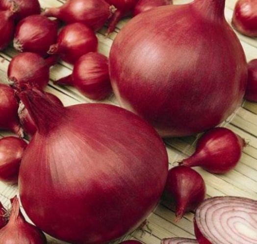 Лук репчатый Кармен МС, 5г семян