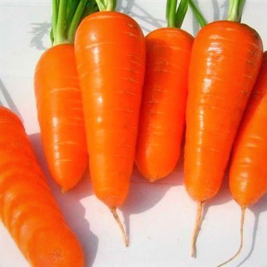 Морковь Ред Кор, 1г семян