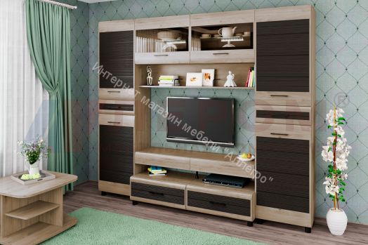 Гостиная КАМЕЛИЯ 10