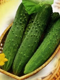 Огурец ЗОЗУЛЯ F1, 250 семян