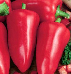 Перец сладкий Кавалер, 50шт семян