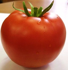Томат детерминантный Линда F1, 50шт семян
