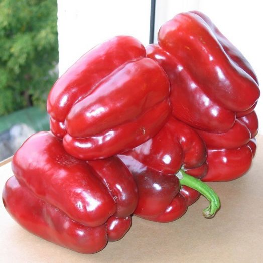 Перец сладкий Клаудио F1, 10шт семян