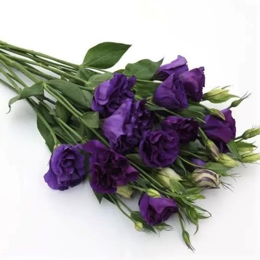 Эустома(Лизиантус) махровая (Eustoma grandiflorum) Abc Purple, 100 драже