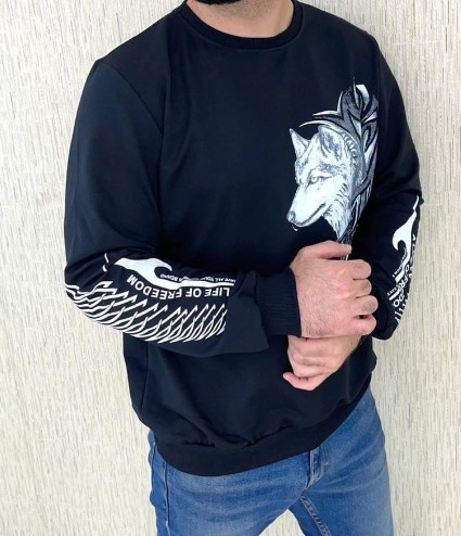 Кофта мужская 24674