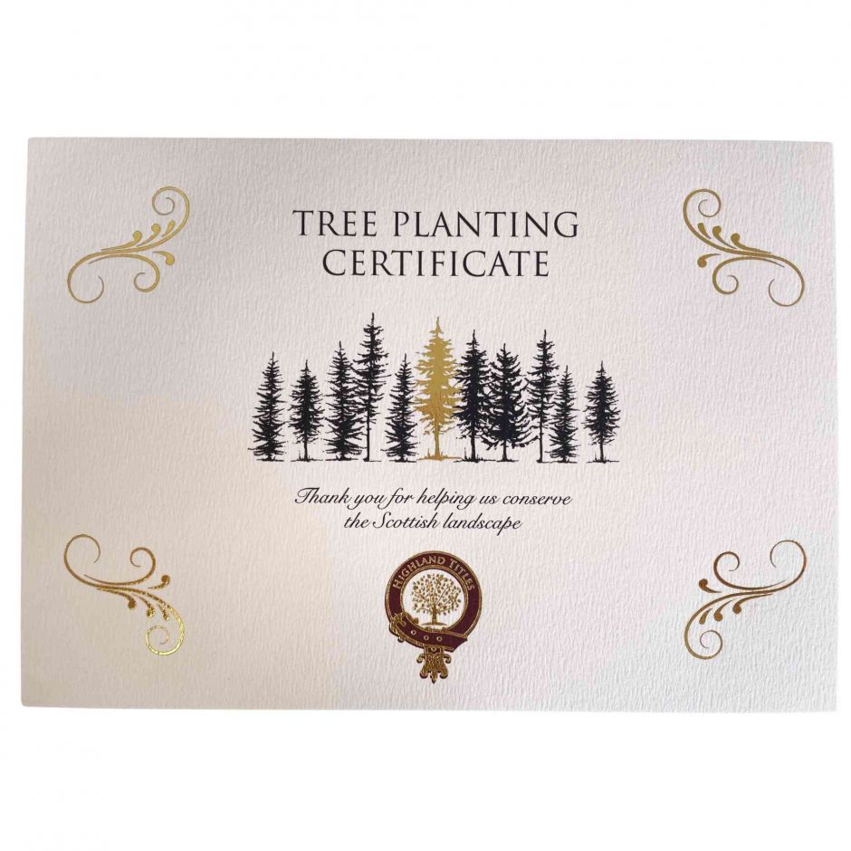 Дерево посаженное в Вашу честь (Glencoe)