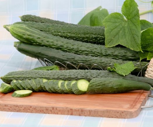 Огурец партенокарпический Фен Шуй F1, 50шт семян