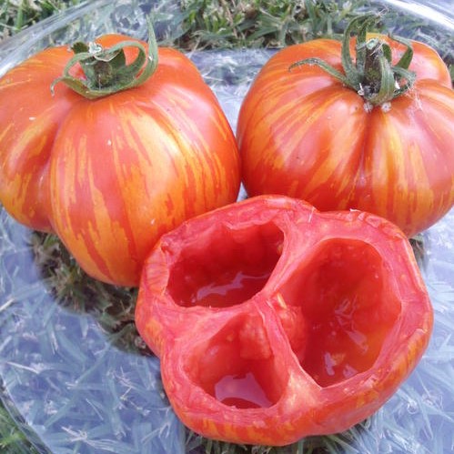 Томат Полосатая пещера, 1г семян