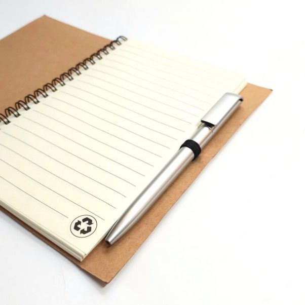 Шариковая ручка Каролина серебристая