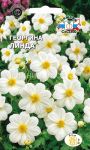 ГЕОРГИНА ЛИНДА (СеДеК)