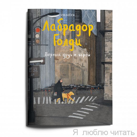 Лабрадор Голди