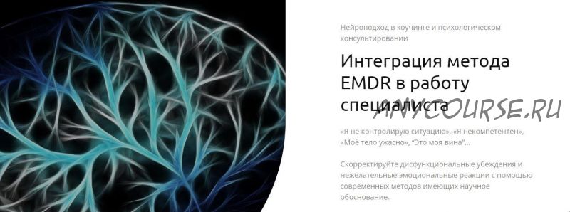 Интеграция метода EMDR в работу специалиста (Андрей Шаповалов)