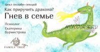 Как приручить дракона? Лекция 4. Родители – живые люди. Гнев и раздражительность взрослых в семье