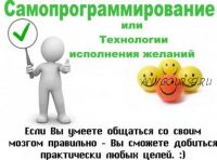 НЛП-практик. Самопрограммирование или Технологии исполнения желаний (Павел Колесов)