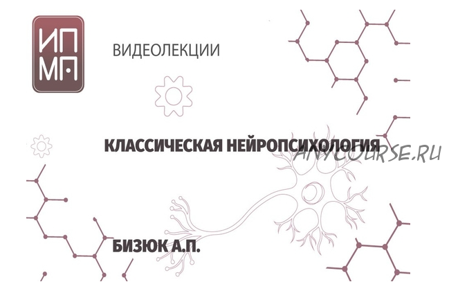 [ИПМП им. Б.Д Карвасарского] Нейропсихология (Александр Бизюк)