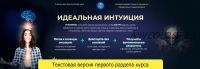 Идеальная интуиция (Татьяна Панюшкина)