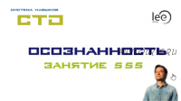 СТО «Осознанность». Занятие №555 (Lee)