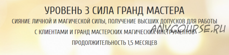 Восхождение души. Уровень 3. Сила гранд мастера (Ольга Каруна, Александр Фарейн)