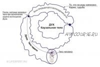 [Lifexpert] Инфокоррекция программ прошлых жизней (Вячеслав Губанов, Дмитрий Губанов)