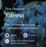 [Магия севера] Каменный цветок чародея (Ирина Иванова)