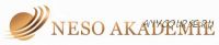 [Neso Akademie] Основы управления реальностью (Елена Донская)