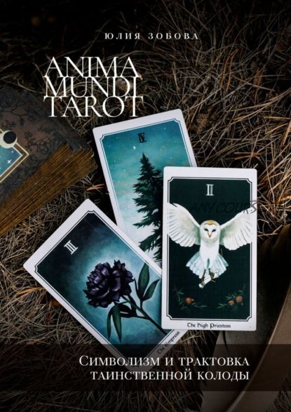 Anima Mundi Tarot. Символизм и трактовка таинственной колоды (Юлия Зобова)