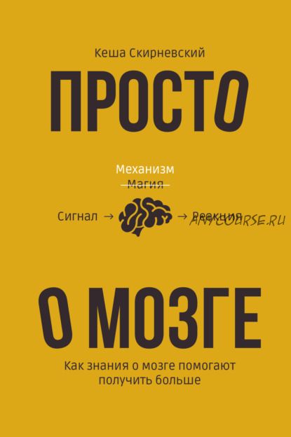 Просто о мозге. Как знания о мозге помогают получить больше (Кеша Скирневский)