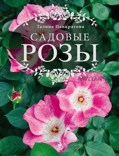 Садовые розы. Большая энциклопедия (Галина Панкратова)