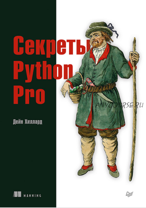 Секреты Python Pro (Дейн Хиллард)