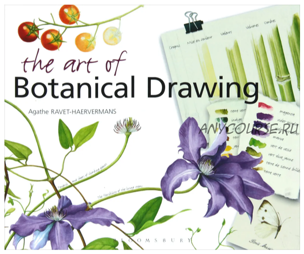 The Art of Botanical Drawing (Agathe Ravet-Haervermans)