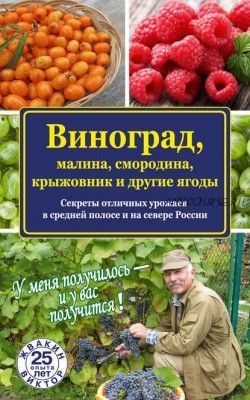 Виноград, малина, смородина, крыжовник и другие ягоды (Виктор Жвакин)