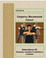 Айки-Цигун III: Базовая техника столбового стояния (Сергей Ли)