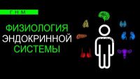 Физиология эндокринной системы. Паращитовидная железа (Анастасия Семко)