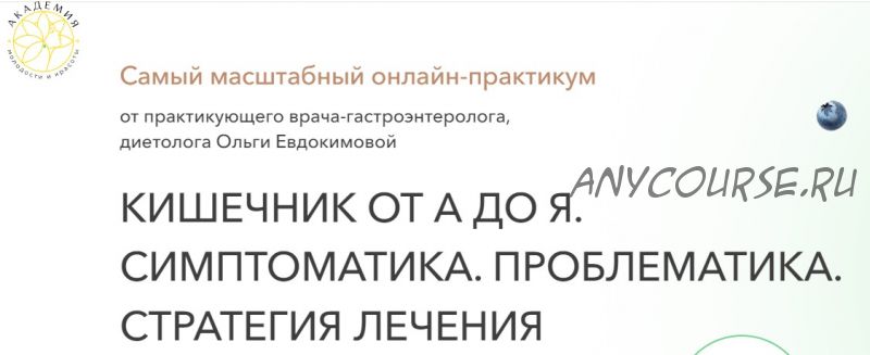 Кишечник от А до Я. Симптоматика. Проблематика. Стратегия лечения. Тариф Экспресс (Ольга Евдокимова)