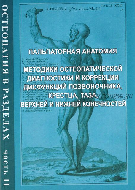 Остеопатия в разделах. Часть II: руководство для врачей (Ирина Егорова)