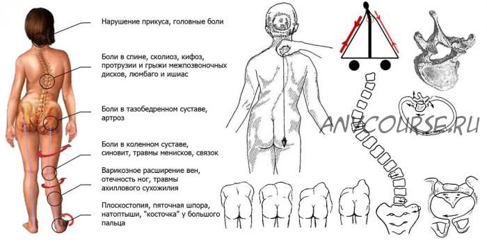 Освобождая спину. Стопы.Таз. Позвоночник.Голова. Взаимная координация (Дарья Постникова)