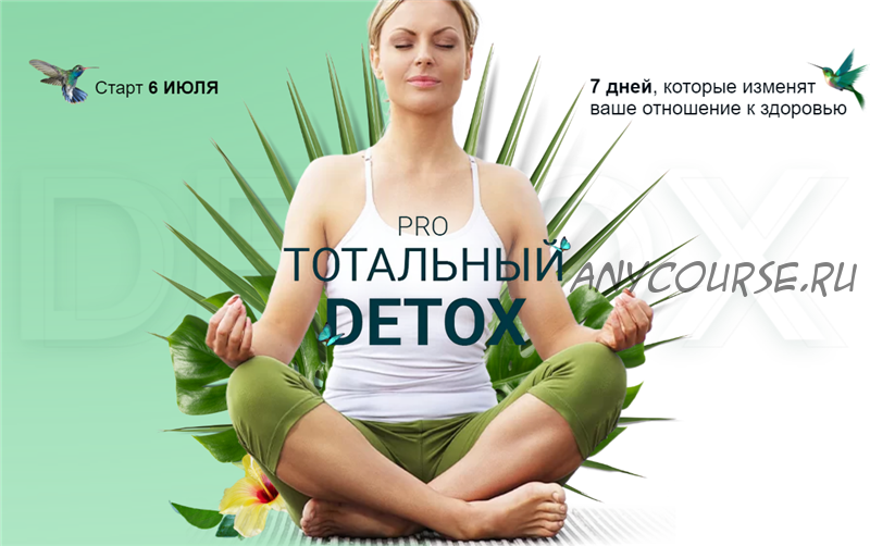 Pro Тотальный Detox (Диляра Лебедева)