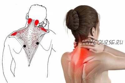 Снимаем усталость и напряжение с лица, шеи, плечей и позвоночника (Ольга Дробышева)
