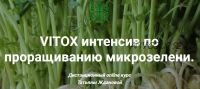 VITOX интенсив по проращиванию микрозелени, 2020 год (Татьяна Жданова)